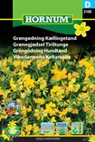 Viherlannoite Keltamaite - Kukkien ja koristeheinien siemenet - 5708787021052 - 0