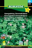 Viherlannoite Persianapila - Kukkien ja koristeheinien siemenet - 5708787018502 - 0