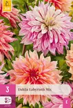 Daalia Labyrinth Mix 3 kpl/pkt -  - 8712438985652 - 1
