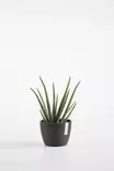Ecopots Ruukku Stockholm 16 cm - Ecopots ruukut ja lautaset - 5413724307112 - 2