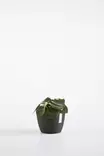 Ecopots Ruukku Stockholm 16 cm - Ecopots ruukut ja lautaset - 5413724307112 - 4