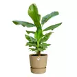 Elho Ruukku Greenville 18 cm - Istutusruukut - 8711904537852 - 1