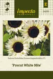 Isoauringonkukka F1 Procut White Nite - Kukkien ja koristeheinien siemenet - 7332756241592 - 0