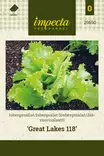 Jäävuorisalaatti Great Lakes 118 - Vihannesten ja yrttien siemenet - 7332756295502 - 0