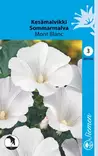 Kesämalvikki Mont Blanc - Kukkien ja koristeheinien siemenet - 6415152031002 - 1