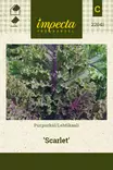 Lehtikaali Scarlet - Vihannesten ja yrttien siemenet - 7332756220412 - 0