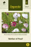 Maissiunikko Mother of Pearl - Kukkien ja koristeheinien siemenet - 7332756286272 - 0