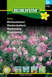 Myskimalva Rosa - Kukkien ja koristeheinien siemenet - 5708787017222 - 0