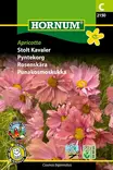 Punakosmoskukka Apricotta - Kukkien ja koristeheinien siemenet - 5708787021502 - 1