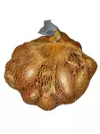 Salottisipuli Longor 0,5kg - Siemenet ja sipulit - 8711968489302 - 1