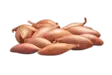 Salottisipuli Longor 0,5kg - Siemenet ja sipulit - 8711968489302 - 2