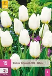 Tulppaani Triumph White 15 kpl/pkt - Tulppaanit - 8712438541452 - 2