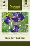 Tuoksuherne Royal Navy Dark Blue - Kukkien ja koristeheinien siemenet - 7332756284742 - 0