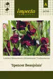 Tuoksuherne Spencer Beaujolais - Kukkien ja koristeheinien siemenet - 7332756247662 - 0