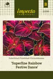 Värinokkonen Superfine Rainbow Festive D - Kukkien ja koristeheinien siemenet - 7332756210062 - 0