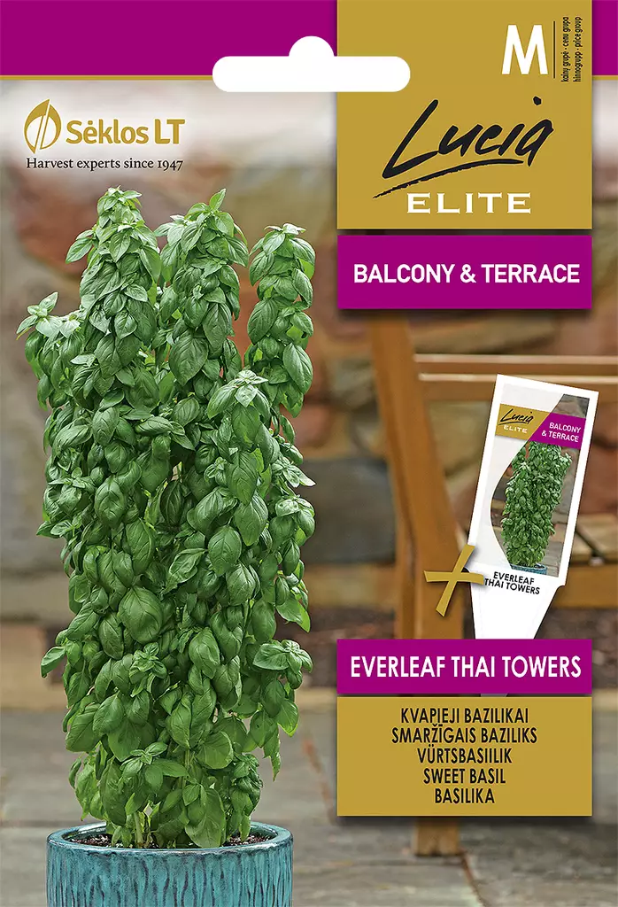 BASILIKA EVERLEAF THAI TOWERS - Vihannesten ja yrttien siemenet - 4770168913752 - 0