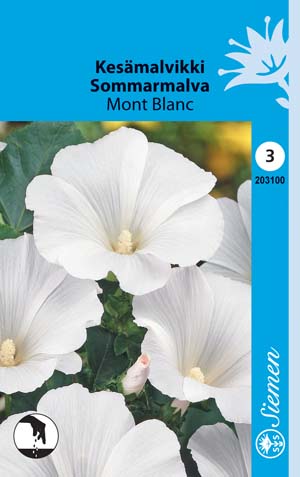 Kesämalvikki Mont Blanc - Kukkien ja koristeheinien siemenet - 6415152031002 - 1