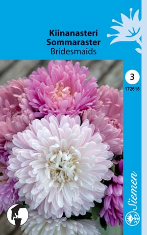 Kiinanasteri Bridesmaids - Kukkien ja koristeheinien siemenet - 6415151726152 - 1