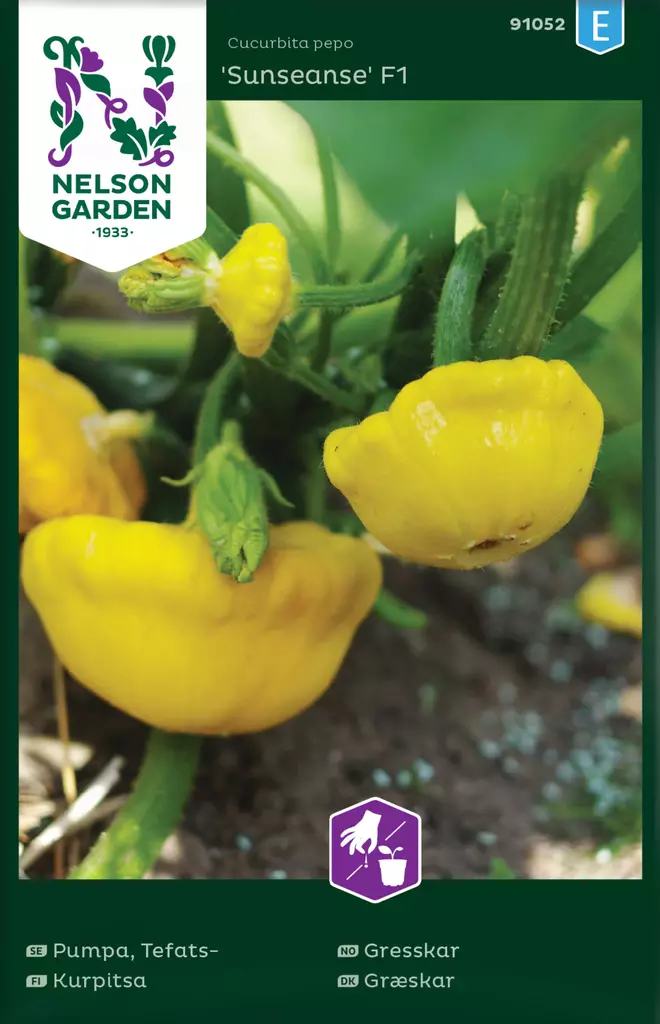 Kurpitsa, Sunseanse F1 - Vihannesten ja yrttien siemenet - 7312600910522 - 0