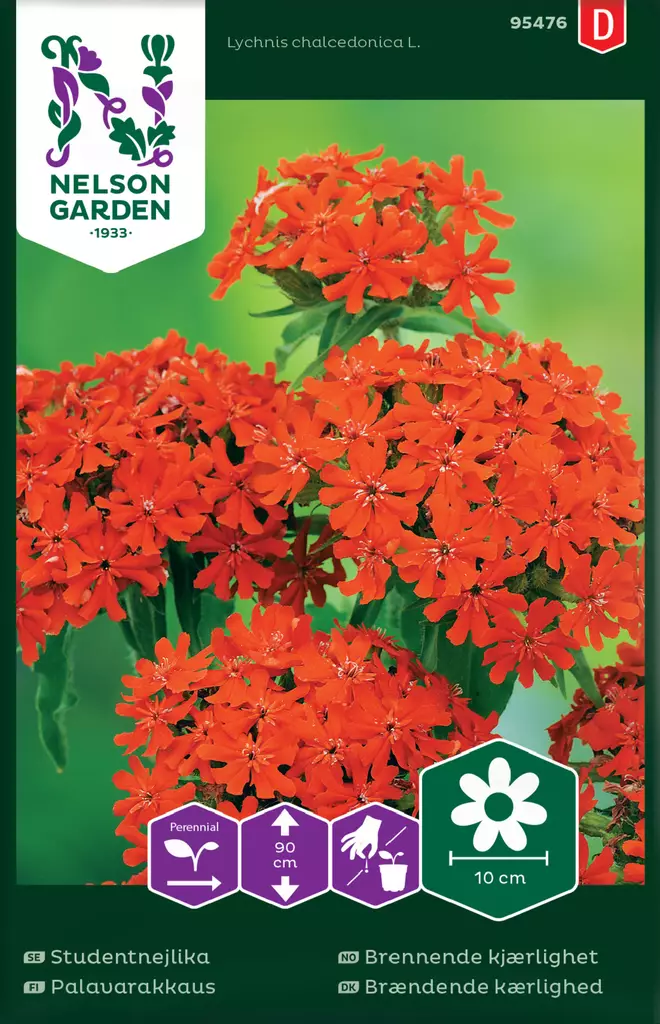 Palavarakkaus - Kukkien ja koristeheinien siemenet - 7312600954762 - 0