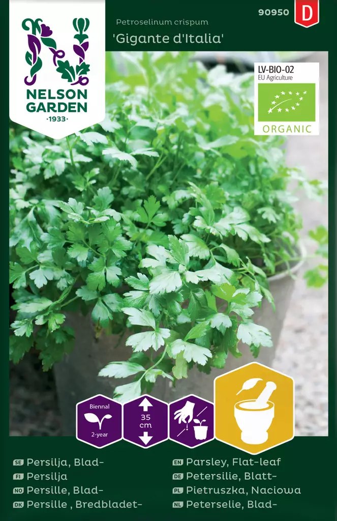 Persilja,Sileälehtinen,Gigan.d Italia,Or - Kukkien ja koristeheinien siemenet - 7312600909502 - 0