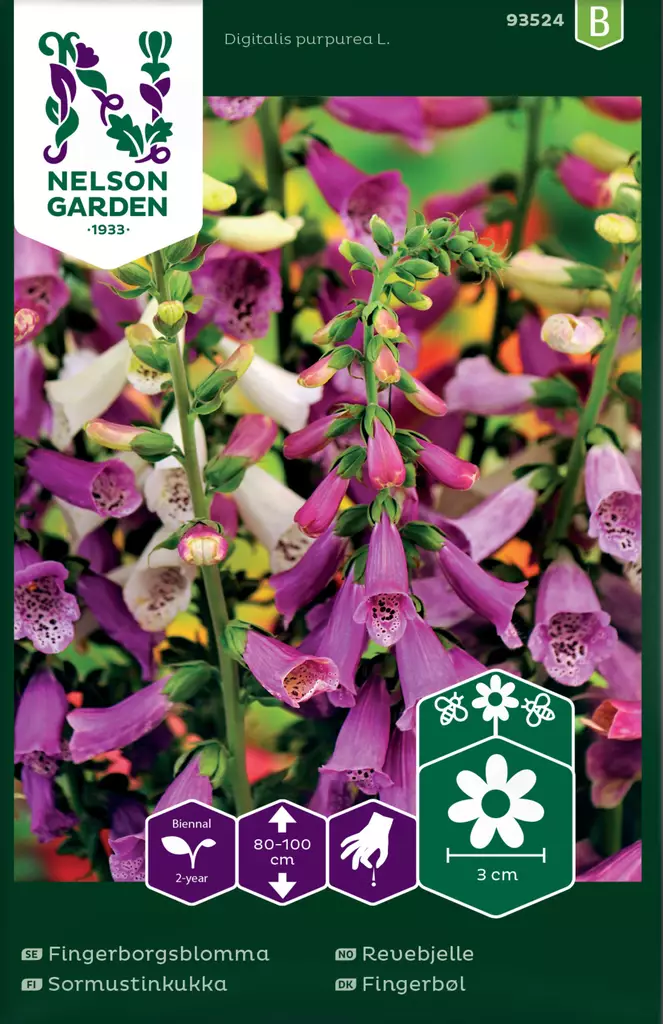 Sormustinkukka, väriseos - Kukkien ja koristeheinien siemenet - 7312600935242 - 0