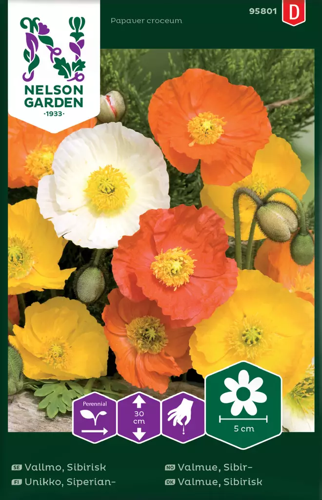 Unikko, Siperian-, väriseos - Kukkien ja koristeheinien siemenet - 7312600958012 - 0