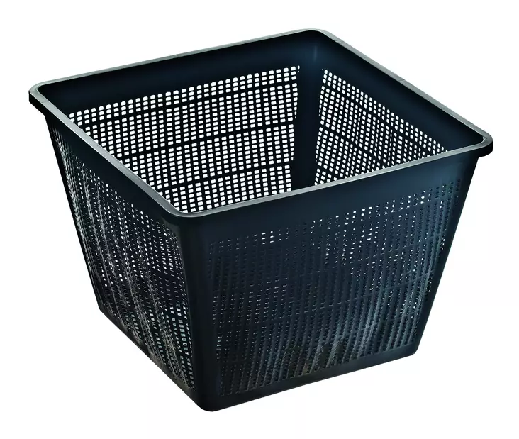 Vesikasvikori 28 x 28 cm TZ101-00 -  - 4006873710882 - 1