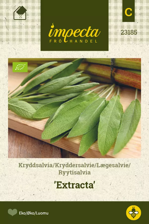 Ryytisalvia Extracta - Vihannesten ja yrttien siemenet - 7332756231852 - 1