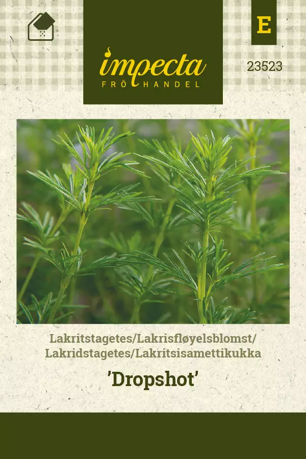 Lakritsisamettikukka Dropshot - Vihannesten ja yrttien siemenet - 7332756235232 - 1