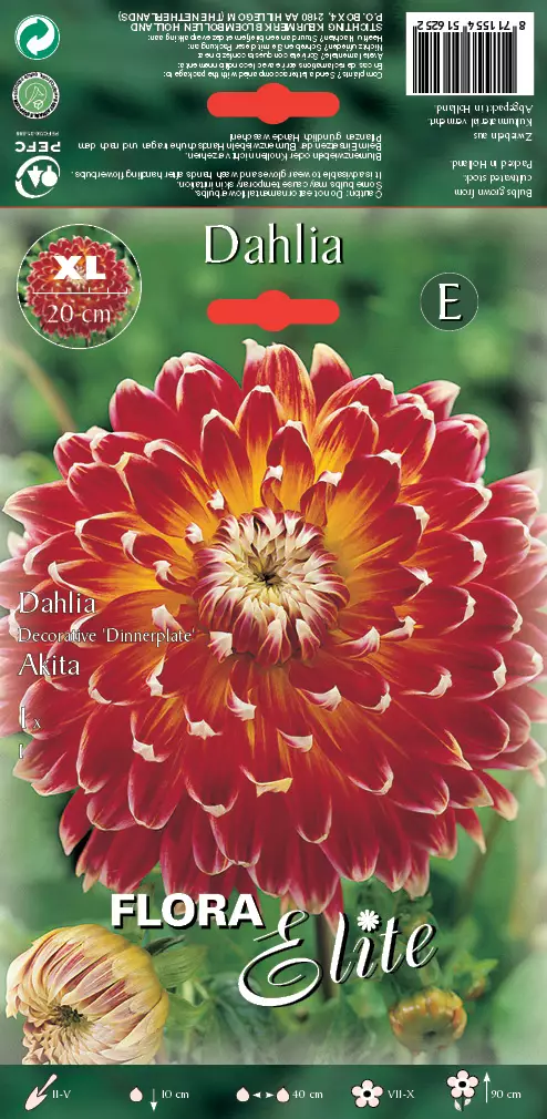 Daalia Akita 1 kpl/pkt - Daaliat - 8711554516252 - 1