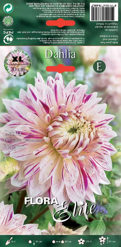 Daalia Avignon 1 kpl/pkt - Daaliat - 8711554786082 - 1