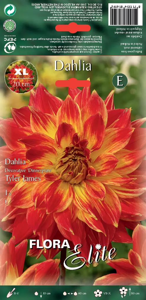 Daalia Tyler James 1 kpl/pkt - Daaliat - 8711554816192 - 1