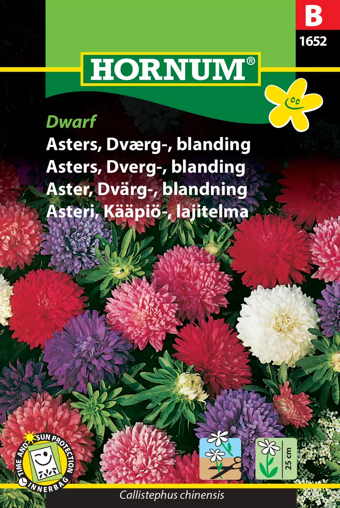 Asteri, Kääpiö-, lajitelma Dwarf - Kukkien ja koristeheinien siemenet - 5708787016522 - 0