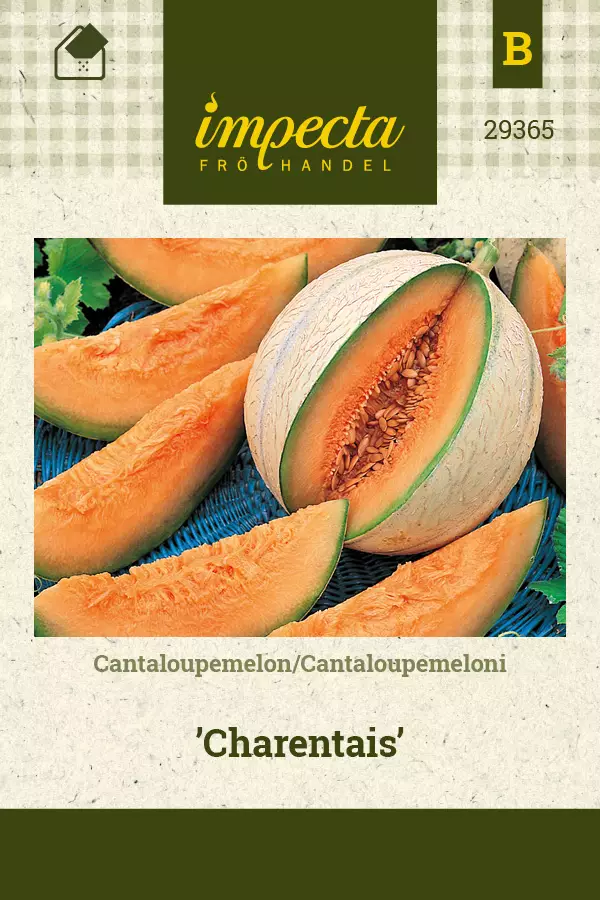 Cantaloupemeloni Charentais - Vihannesten ja yrttien siemenet - 7332756293652 - 0