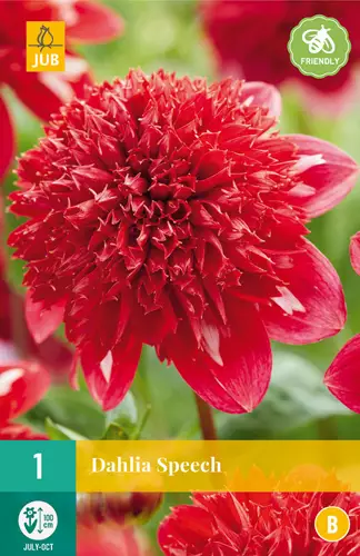 Daalia Speech 1 kpl/pkt - Daaliat - 8712438984532 - 3