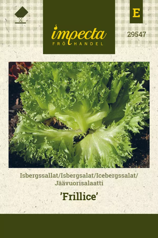 Jäävuorisalaatti Frillice - Vihannesten ja yrttien siemenet - 7332756295472 - 0