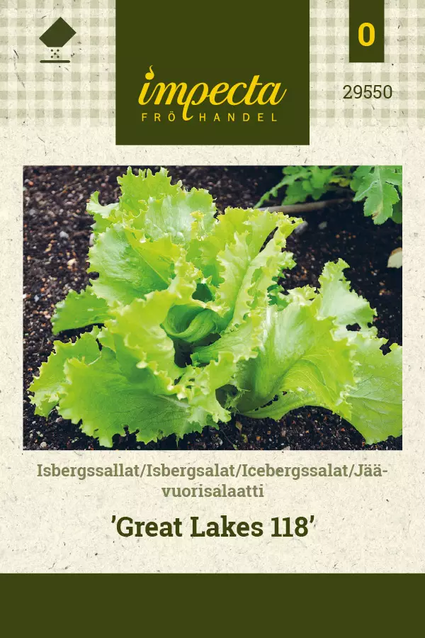 Jäävuorisalaatti Great Lakes 118 - Vihannesten ja yrttien siemenet - 7332756295502 - 0