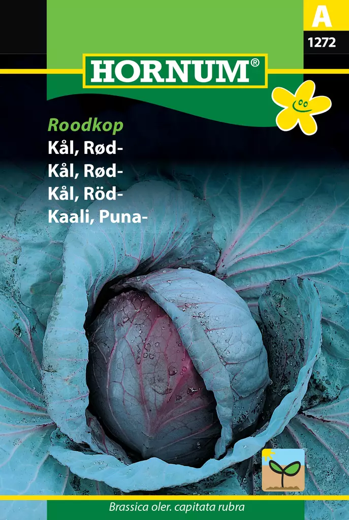 Kaali, Puna- Roodkop - Vihannesten ja yrttien siemenet - 5708787012722 - 0