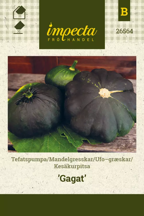 Kesäkurpitsa Gagat - Vihannesten ja yrttien siemenet - 7332756265642 - 0
