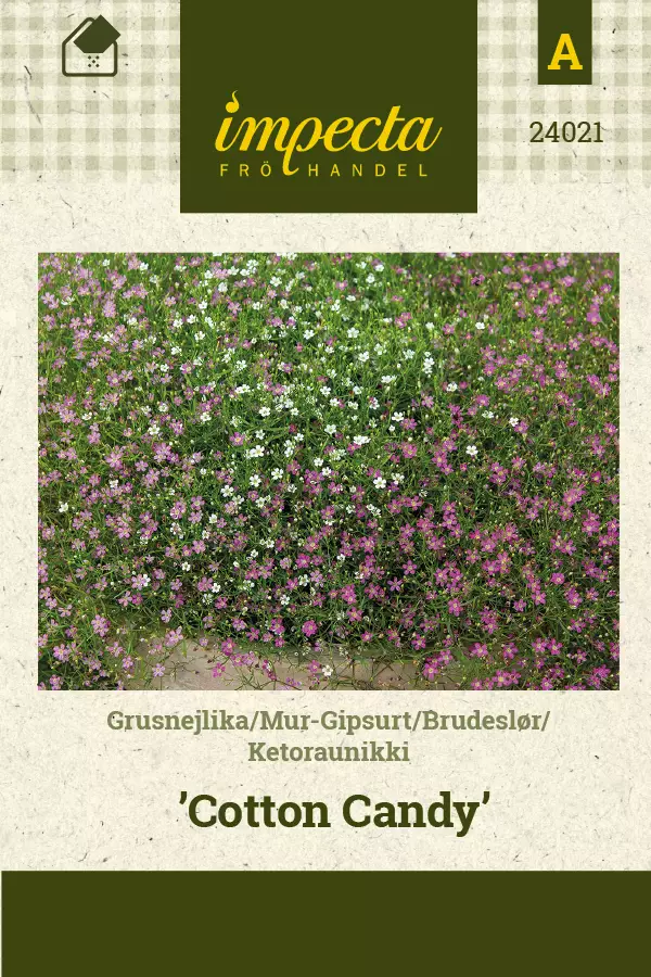 Ketoraunikki Cotton Candy - Kukkien ja koristeheinien siemenet - 7332756240212 - 1