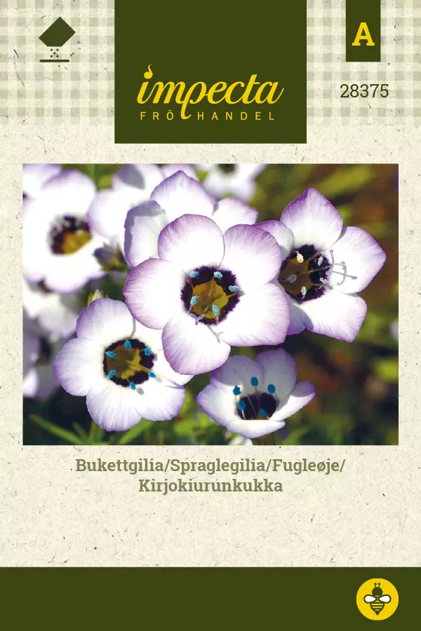 Kirjokiurunkukka - Kukkien ja koristeheinien siemenet - 7332756283752 - 0