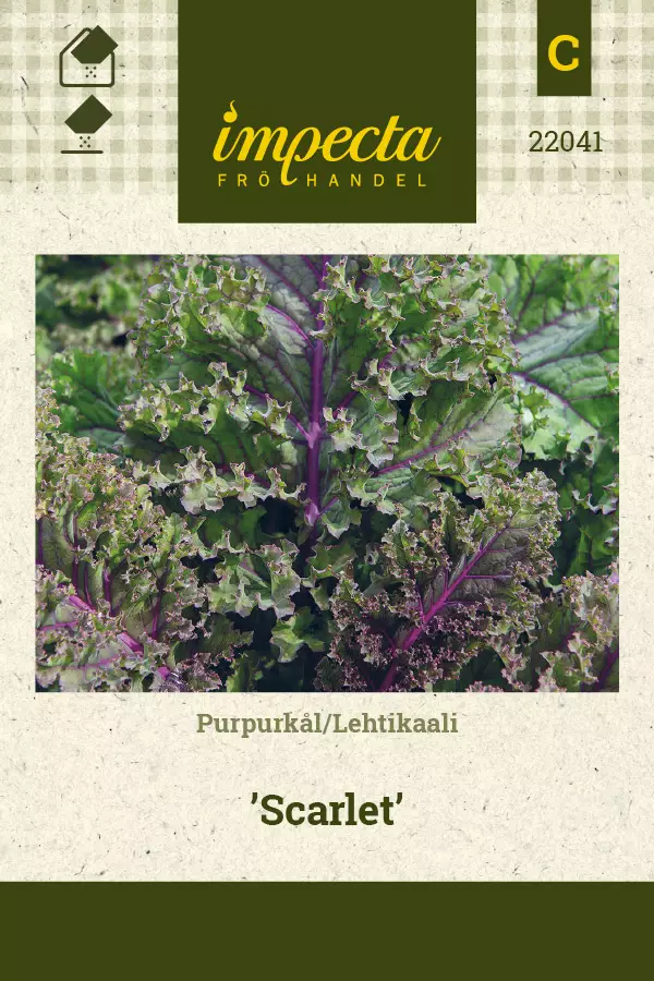 Lehtikaali Scarlet - Vihannesten ja yrttien siemenet - 7332756220412 - 0