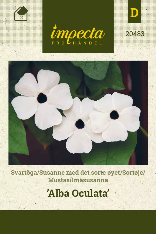 Mustasilmäsusanna Alba Oculata - Kukkien ja koristeheinien siemenet - 7332756204832 - 1