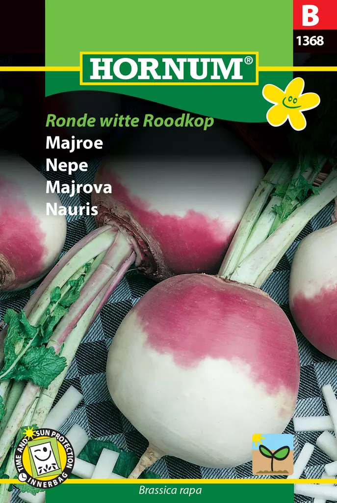 Nauris Ronde Witte Roodkop - Vihannesten ja yrttien siemenet - 5708787013682 - 0