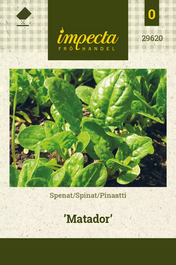 Pinaatti Matador - Vihannesten ja yrttien siemenet - 7332756296202 - 0