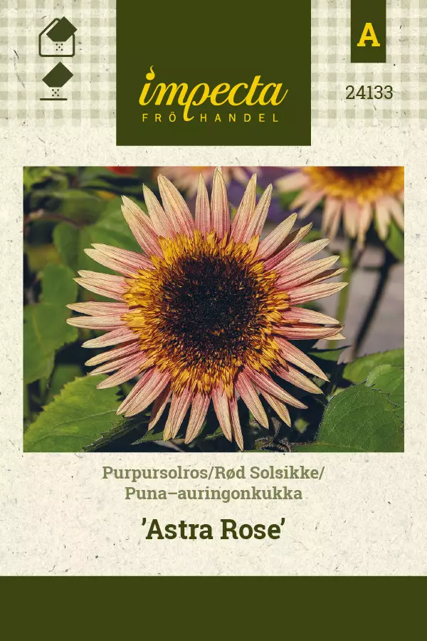 Puna-auringonkukka Astra Rose - Kukkien ja koristeheinien siemenet - 7332756241332 - 0