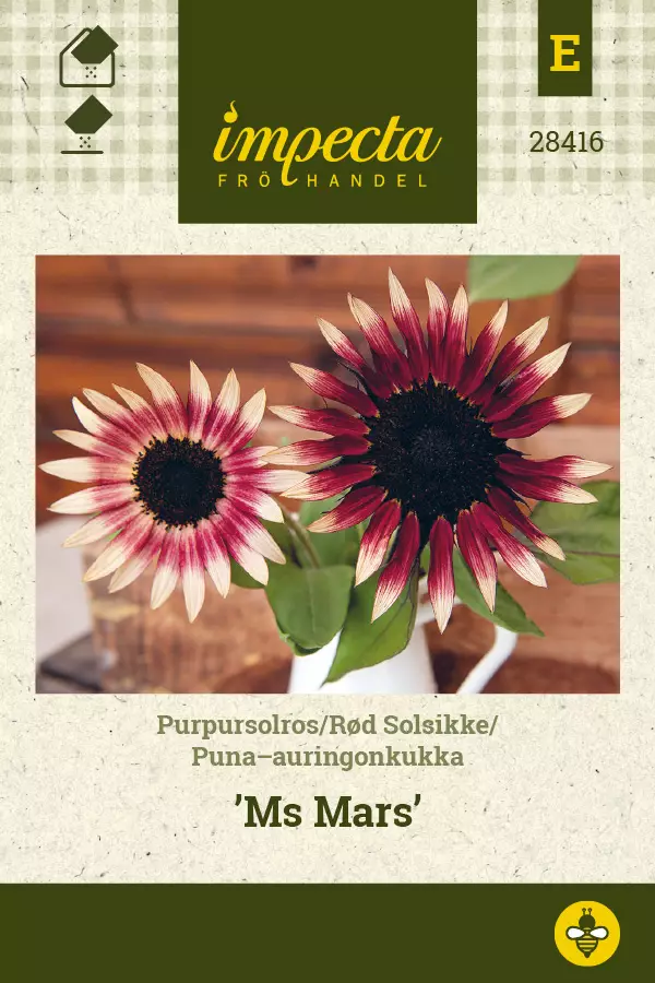 Puna-auringonkukka Ms Mars - Kukkien ja koristeheinien siemenet - 7332756284162 - 0