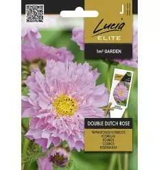 Punakosmoskukka Elite Double Dutch Rose - Kukkien ja koristeheinien siemenet - 4770168926172 - 1