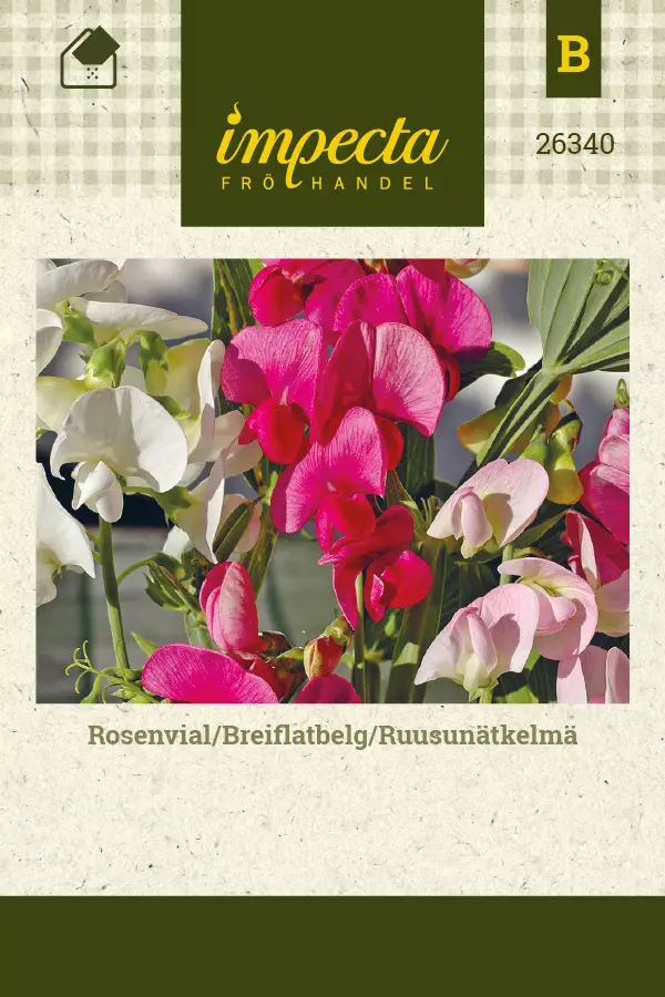 Ruusunätkelmä - Kukkien ja koristeheinien siemenet - 7332756263402 - 0